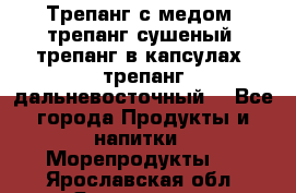 Трепанг с медом, трепанг сушеный, трепанг в капсулах, трепанг дальневосточный. - Все города Продукты и напитки » Морепродукты   . Ярославская обл.,Ярославль г.